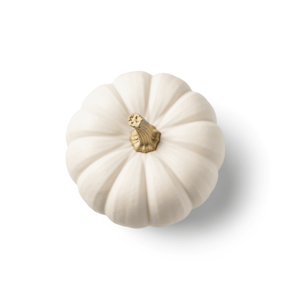 Baby Boo pumpkin β a palm-sized white miniature, ribbed and flat-topped